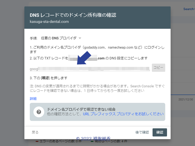 DNSレコードでのドメイン所有権の確認画面です。