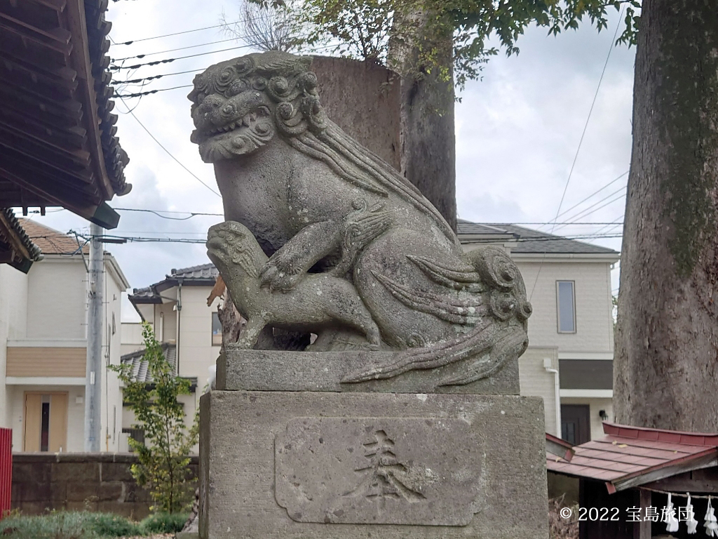 八枝神社の狛犬の阿吽の阿は子連れです。非常に珍しいのではないかと思います。子供の狛犬は親と同じ方を向き胸を張っています。