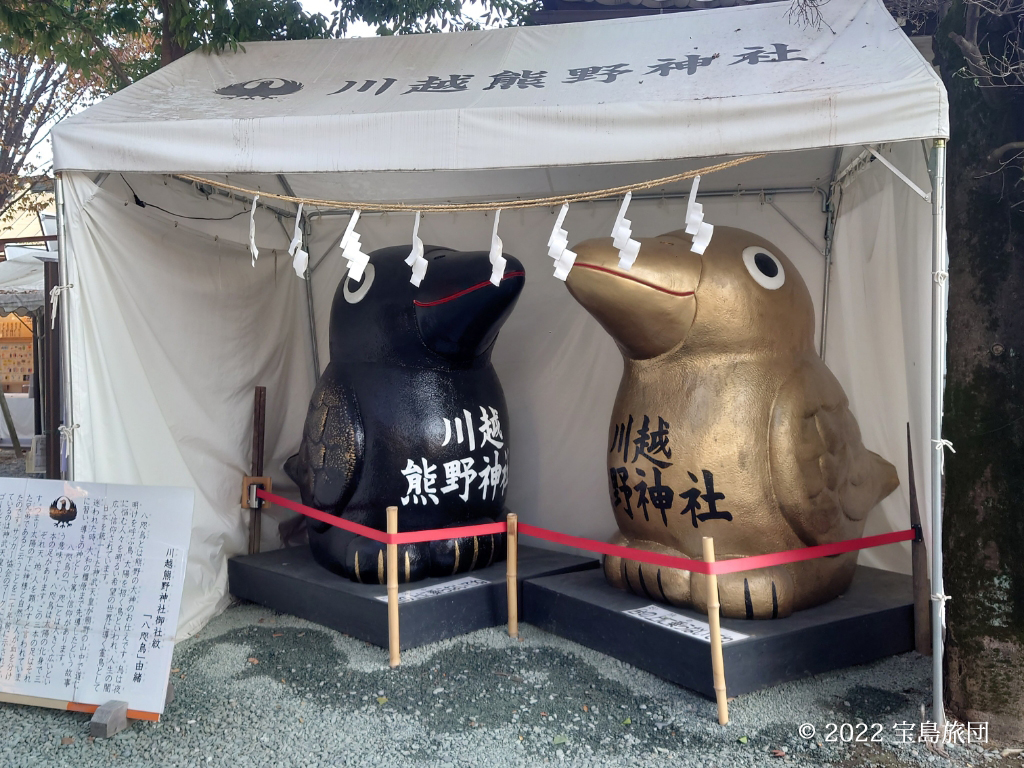 川越熊野神社の八咫烏さまです。参道からでなく連雀町交差点からだといきなり現われます。サイズは一般的なテントに２体でパンパンなくらい巨大です。狛犬でいう阿吽の阿には口を閉じた金の八咫烏さま、左の吽はこちらも口を閉じた黒い八咫烏さまがいます。